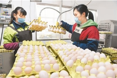 多部門(mén)聯(lián)手保供穩(wěn)價(jià) 水果市場(chǎng)迎來(lái)“平價(jià)時(shí)代”